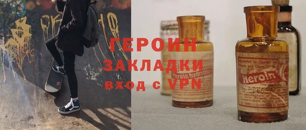 гидра Богородск