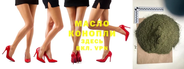 индика Богданович