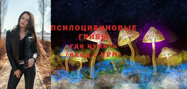 индика Богданович