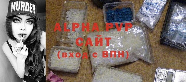 гидра Богородск