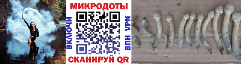 Купить закладки  Нарткала  Галлюциногенные грибы MAGIC MUSHROOMS 